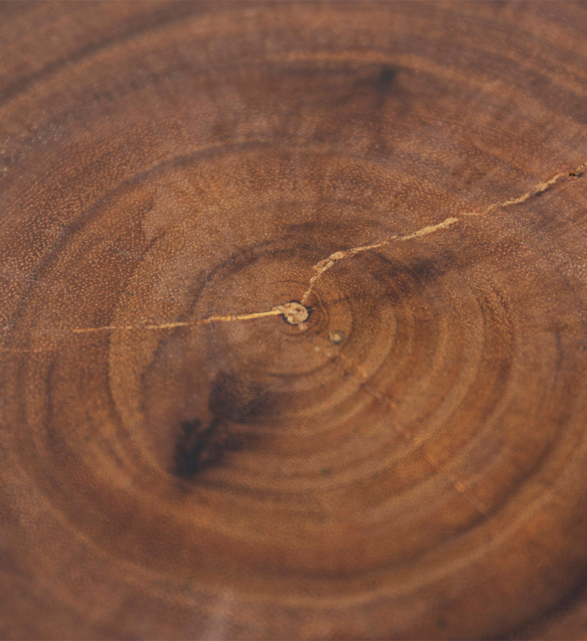 Tavolino in Legno Curvato di Moycor